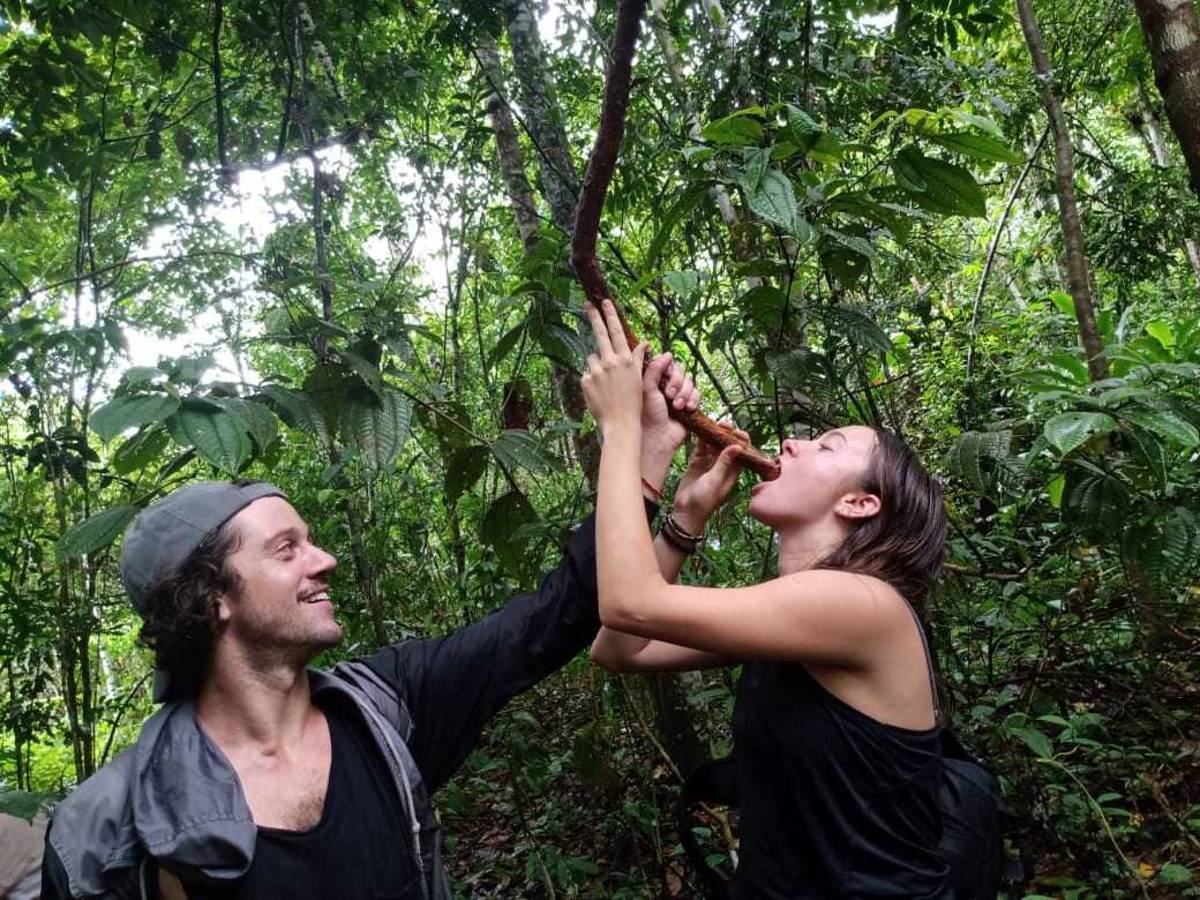Learning to survive in the Amazon Rainforest