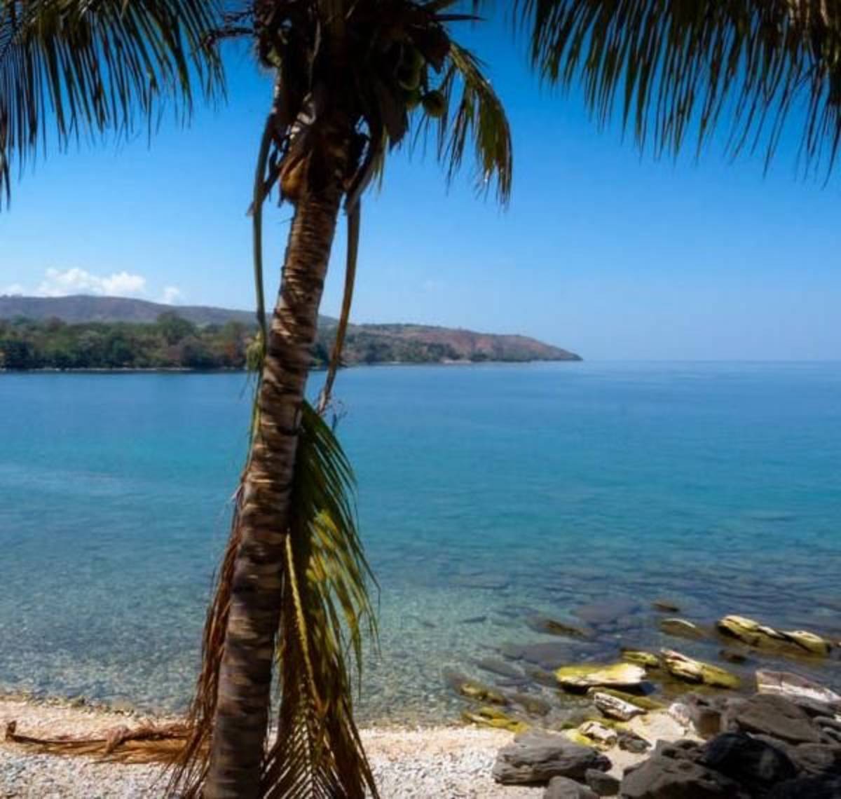 Malawi internship