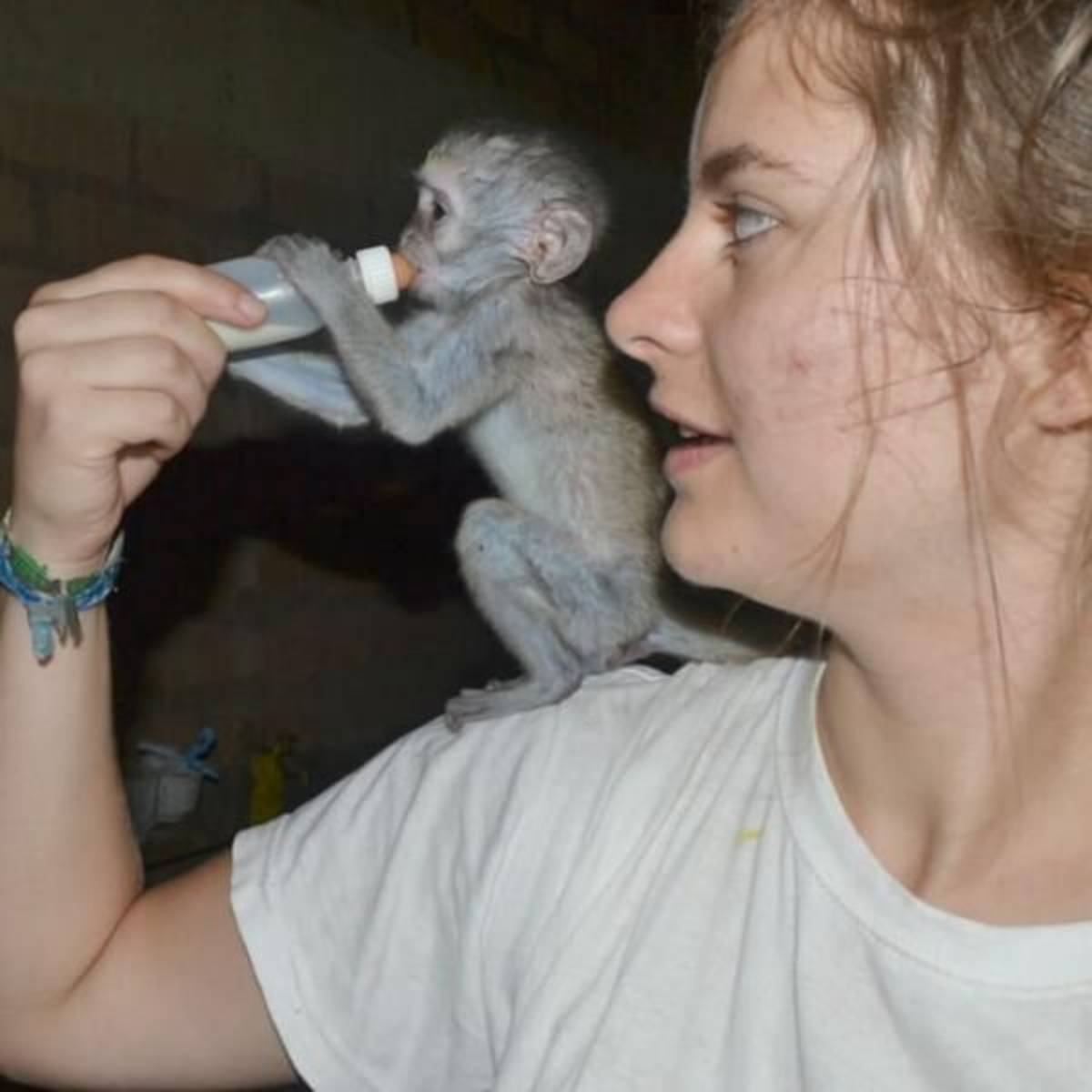 GoEco Malawi - Wildlife Rescue Center