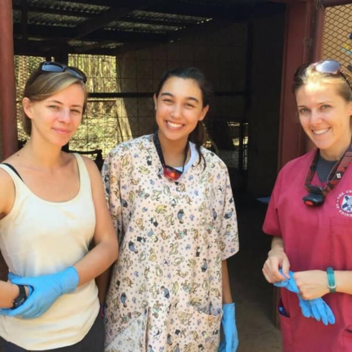 GoEco Malawi - Wildlife Rescue Center Veterinary Internship