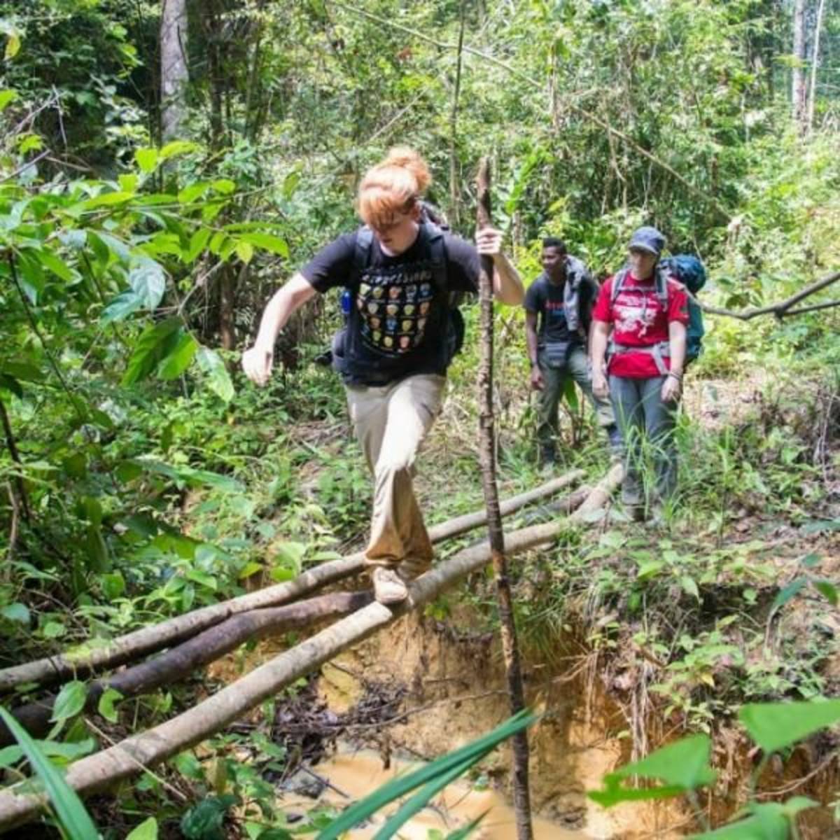 GoEco Malaysia - Jungle Trekking and Sea Turtle Conservation