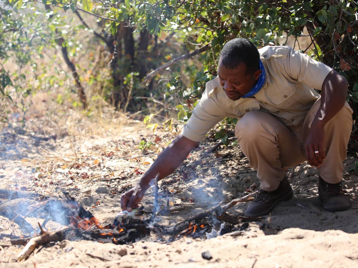 Male guide cooking in the Okavango on a campfire