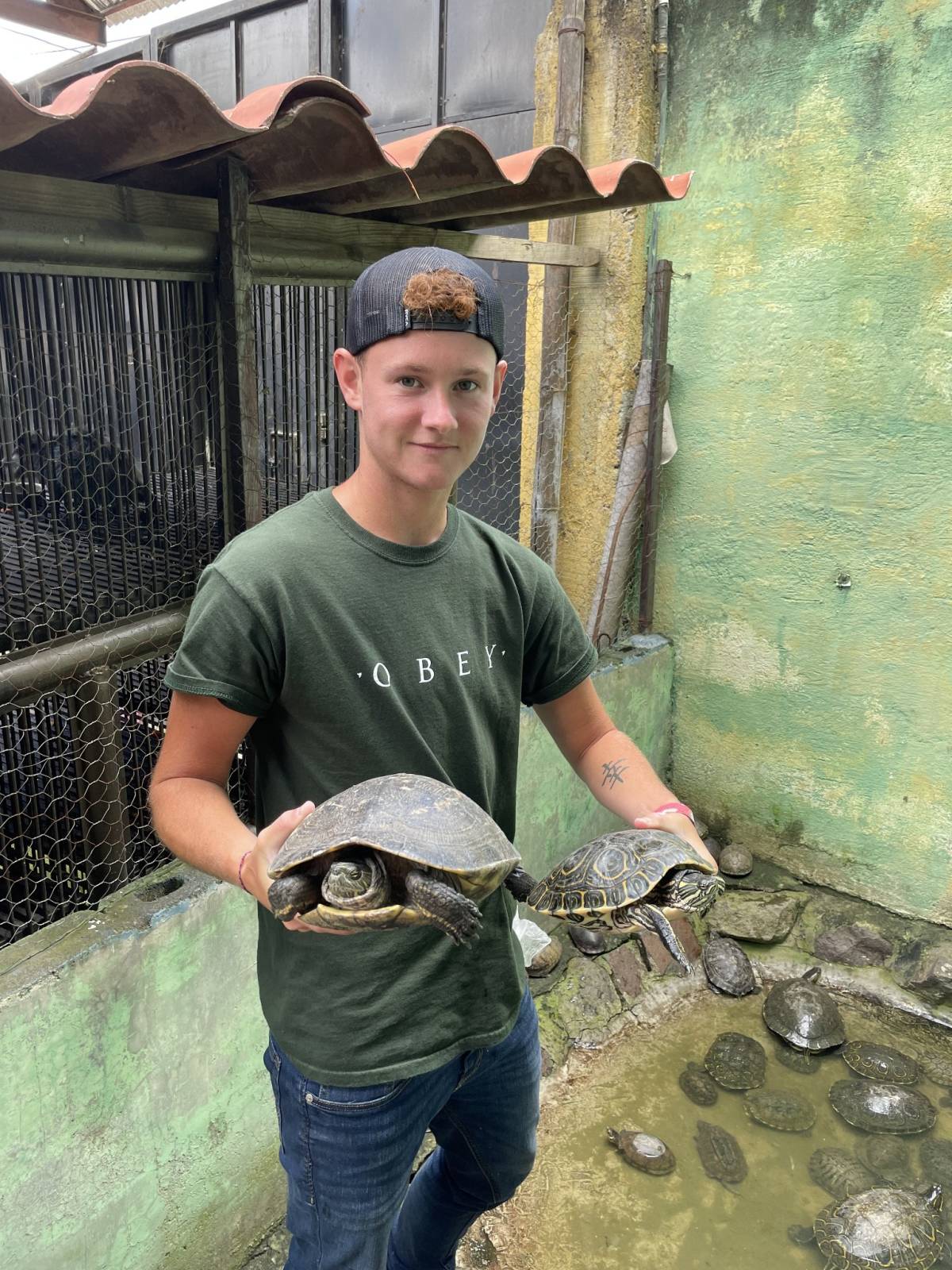 Male Volunteer Holding two Turtles in Guatemala