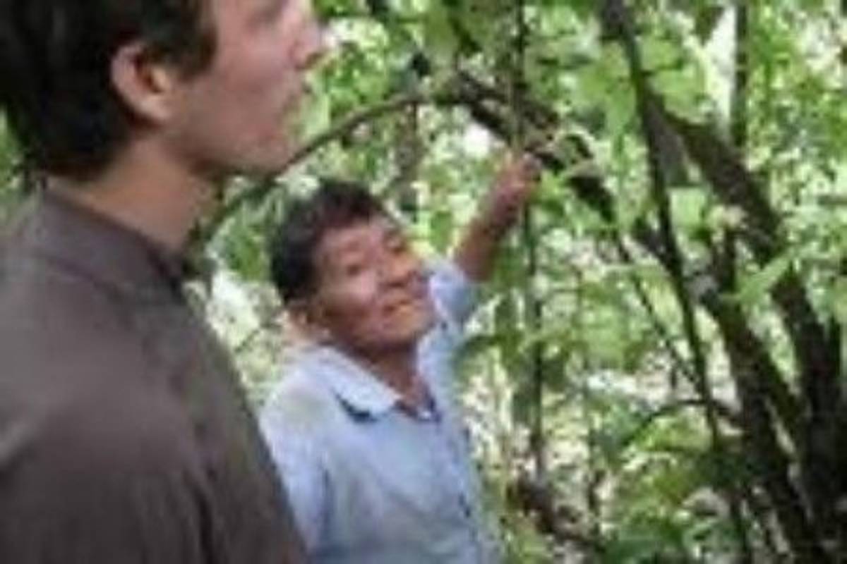 local teaching a volunteer on tree growing