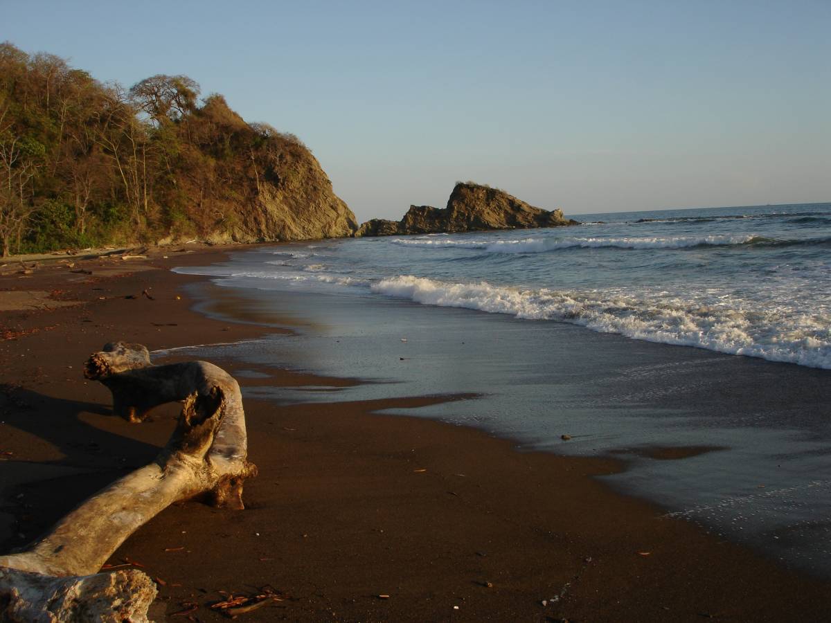 Marine and Environmental Conservation Internship in Costa Rica