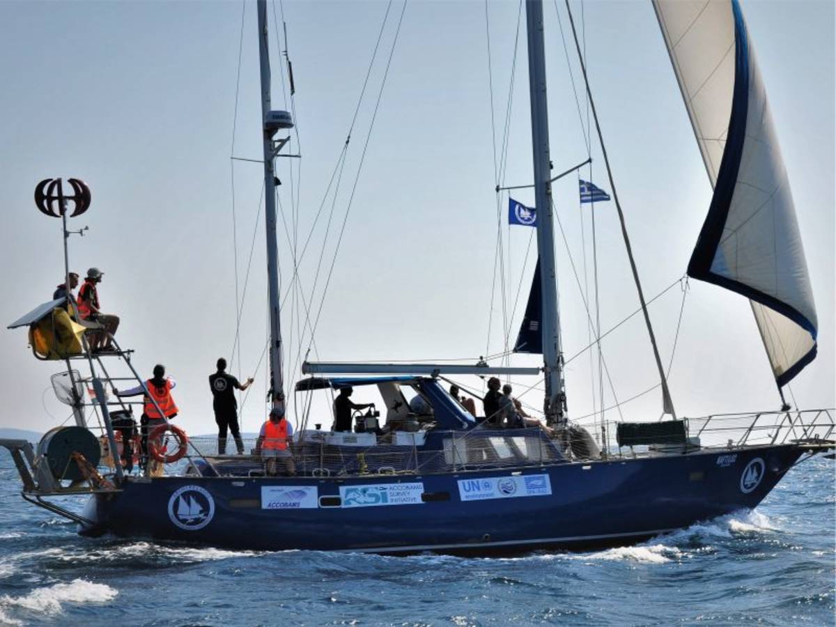 Marine Conservation