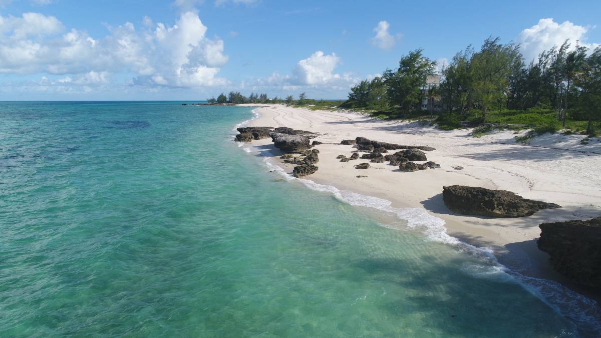 Marine Research Internship Mozambique1