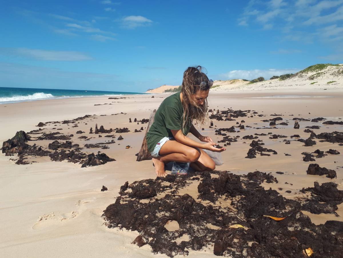 Marine Research Internship Mozambique2