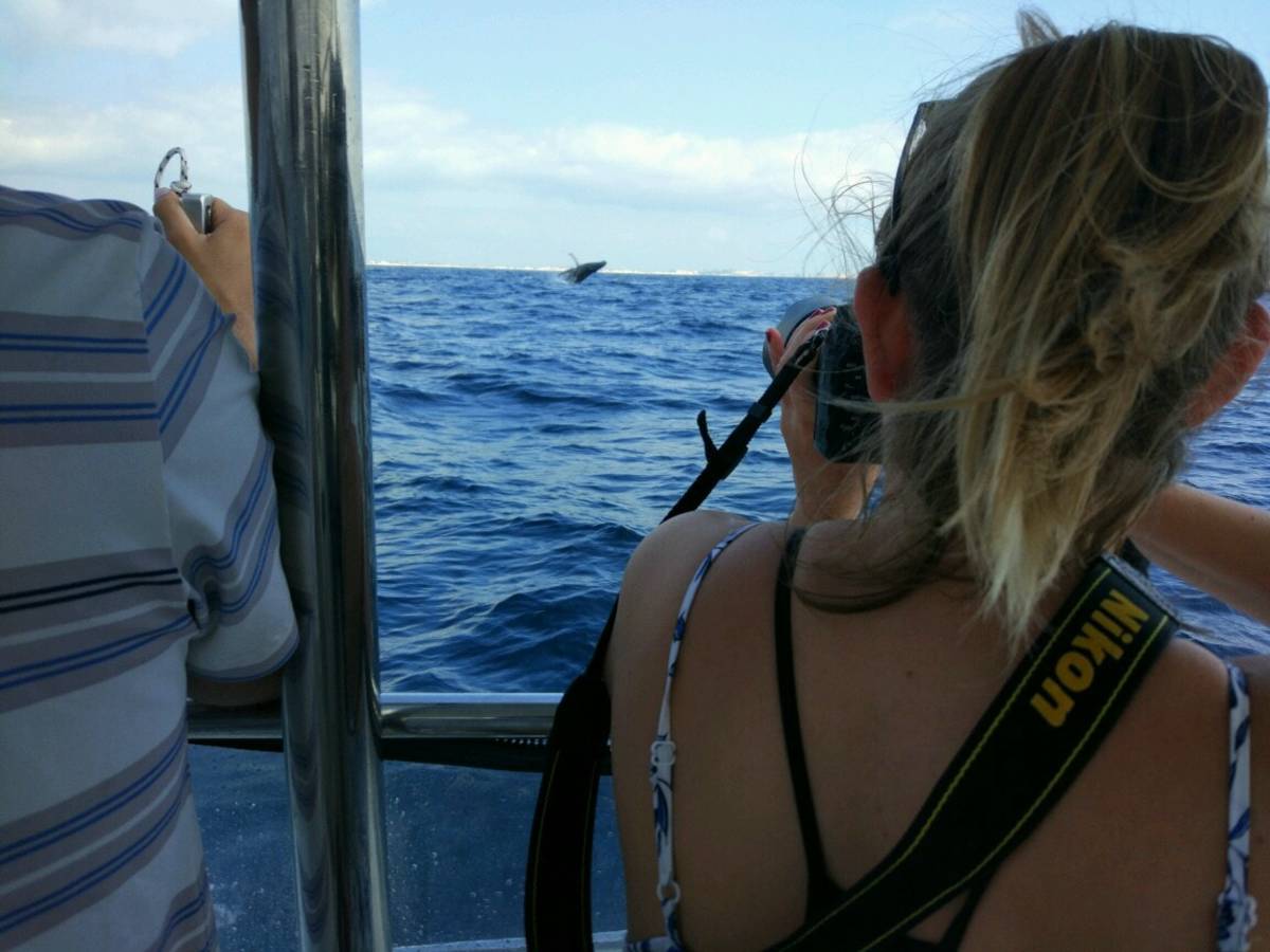 Marine Research Internship Mozambique5