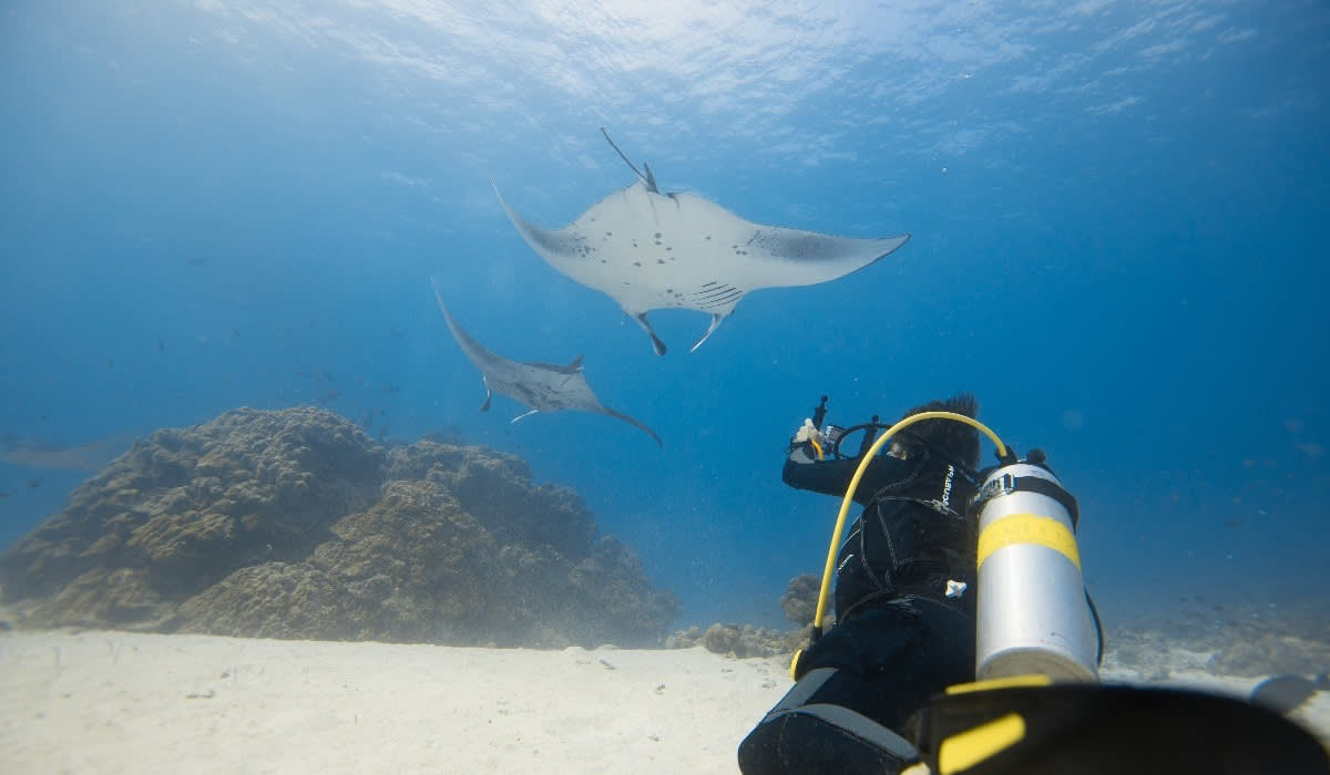 Marine Research Internship Mozambique6