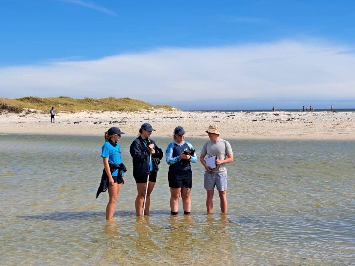 Marine Science Internship in South Africa