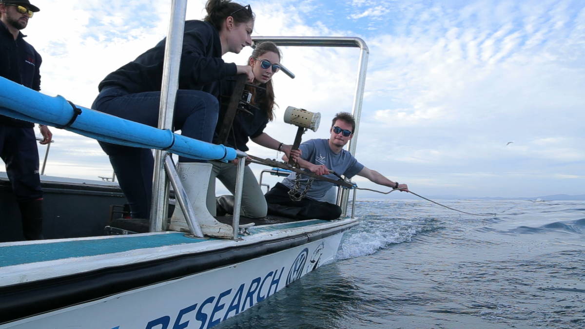 Marine Science Internship in South Africa