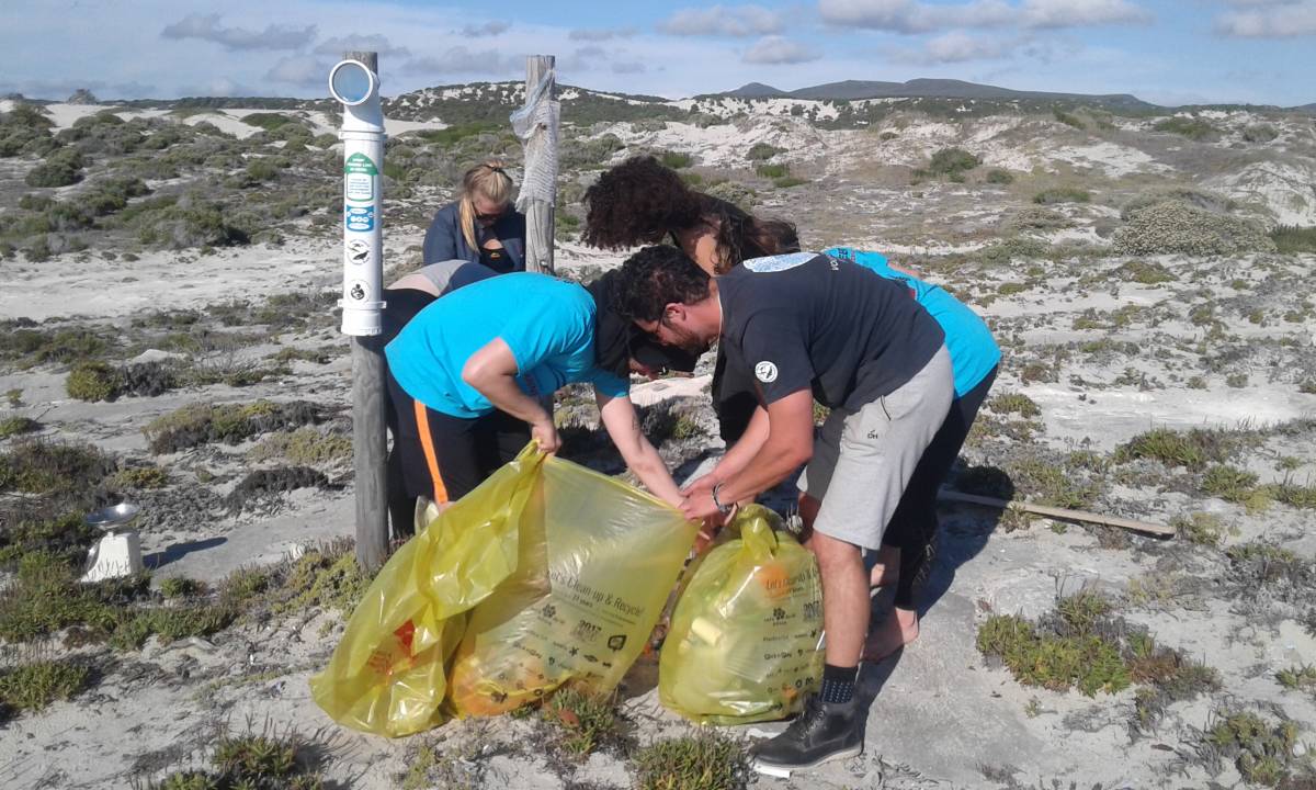 Marine Science Internship in South Africa
