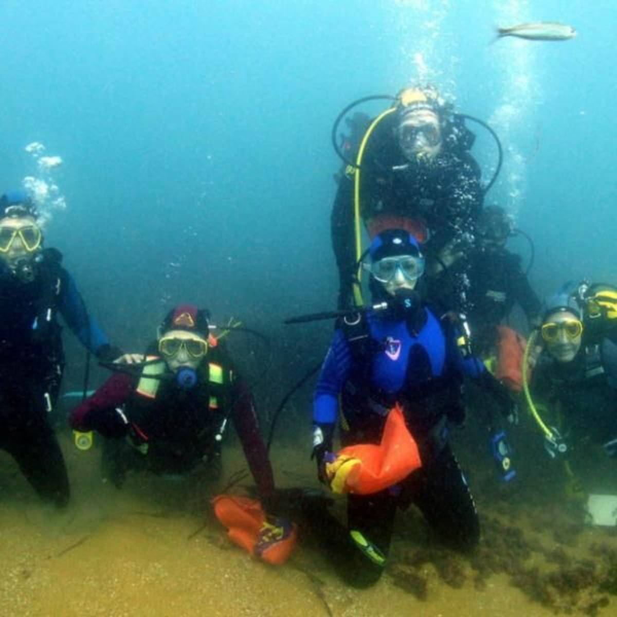 Volunteer in Marine Conservation