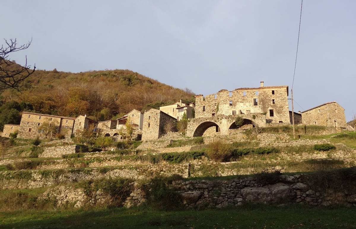 aliore