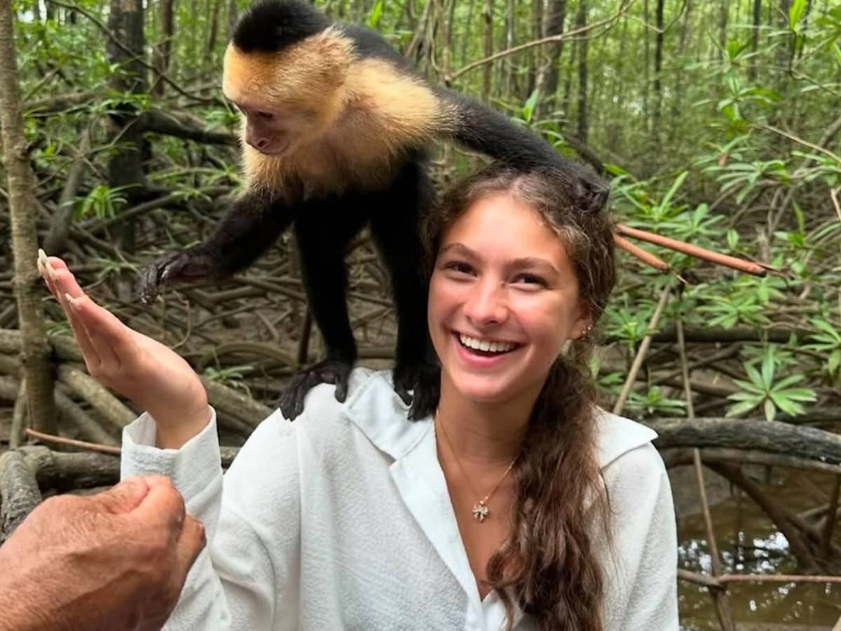 Maximo Nivel Gap Year in Latin America