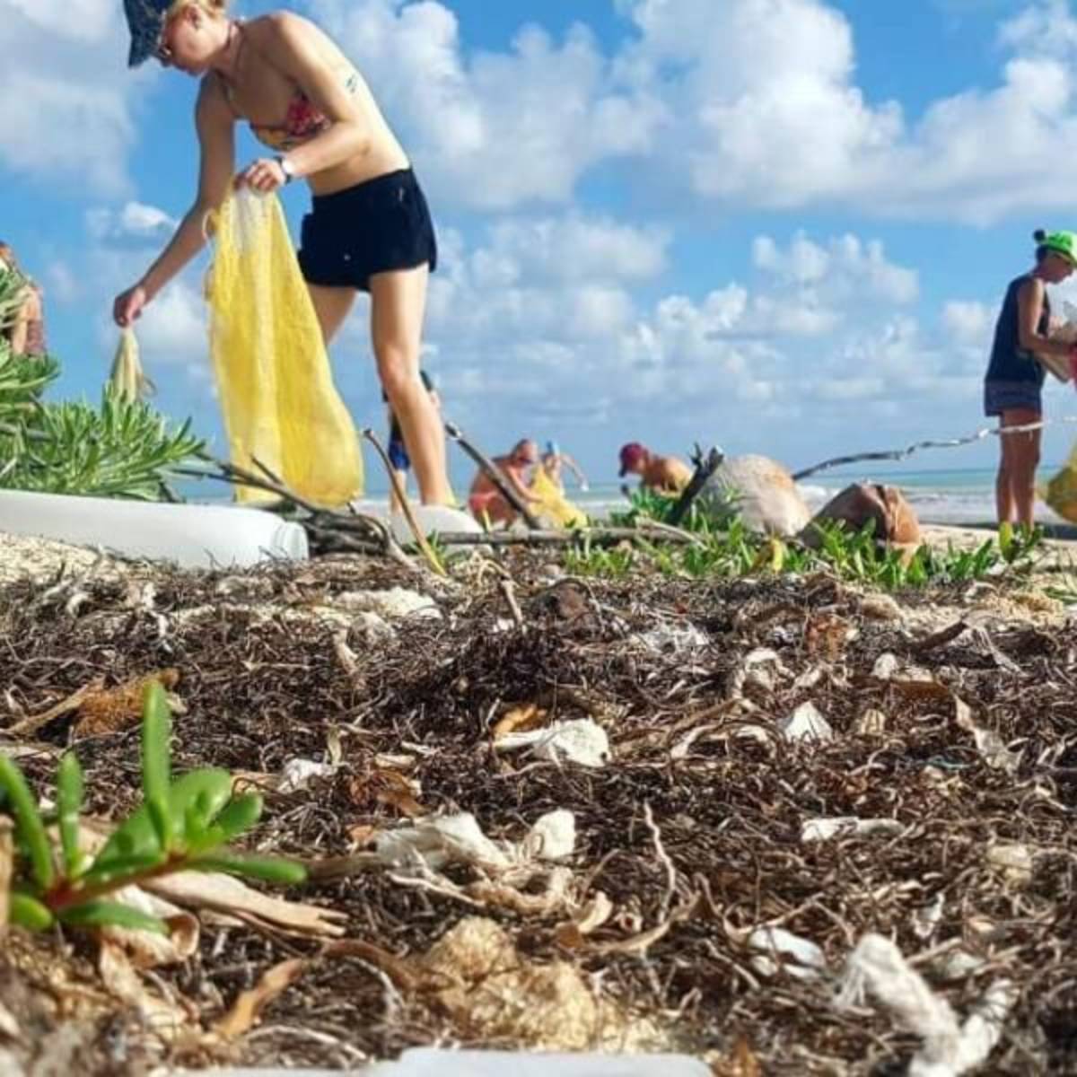 Teenage Marine Conservation Expedition