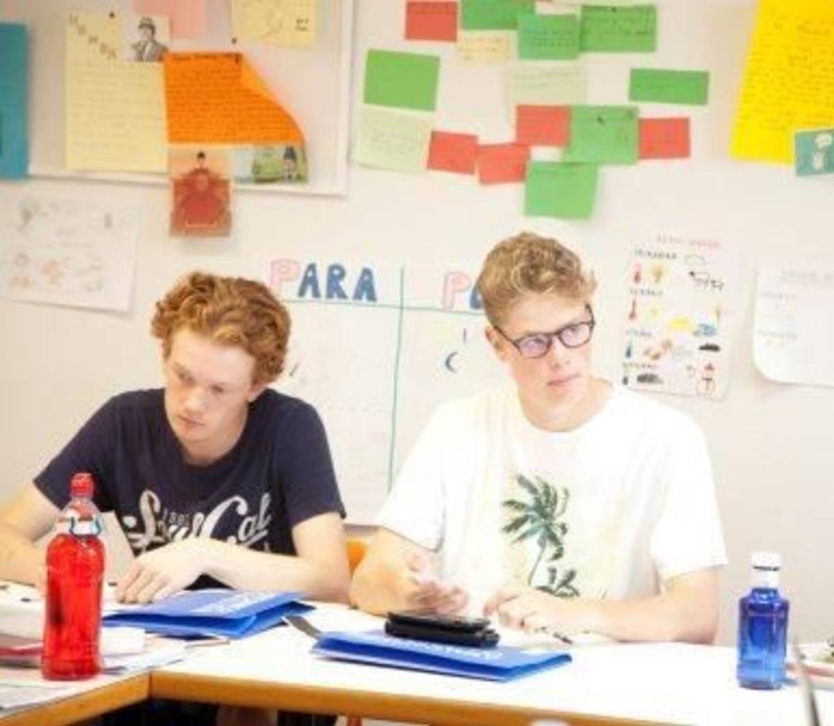 Internship in Spain for Erasmus students