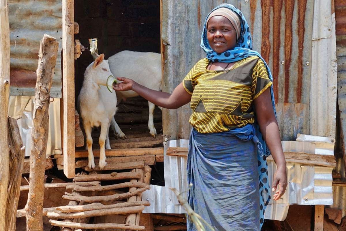 Microfinance in Tanzania