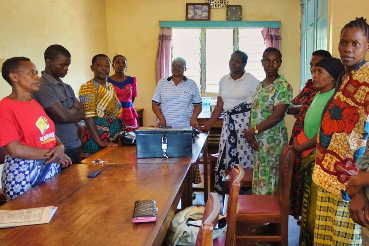 Microfinance in Tanzania