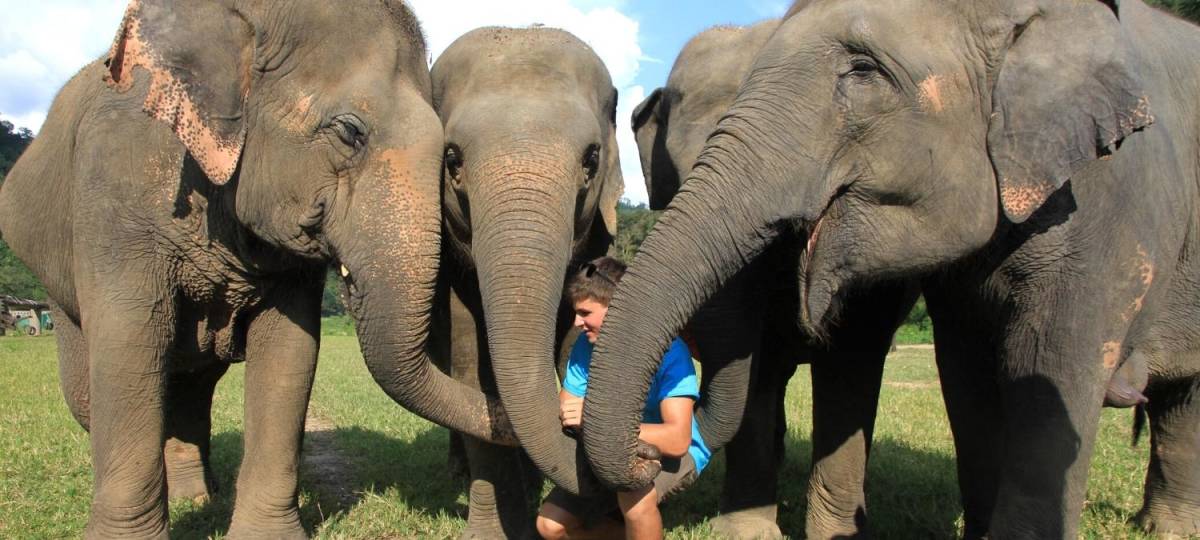 Mini Semester Thailand