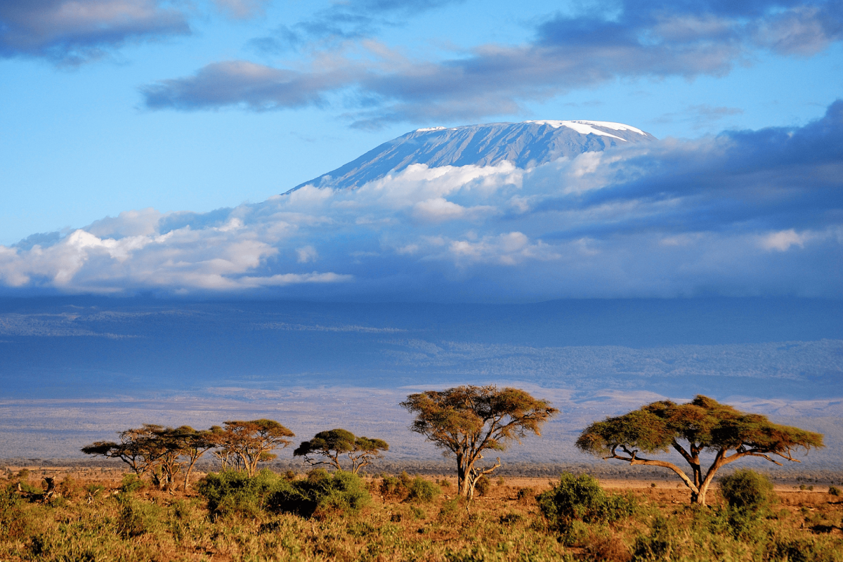 Mount Kilimanjaro over the Savannah