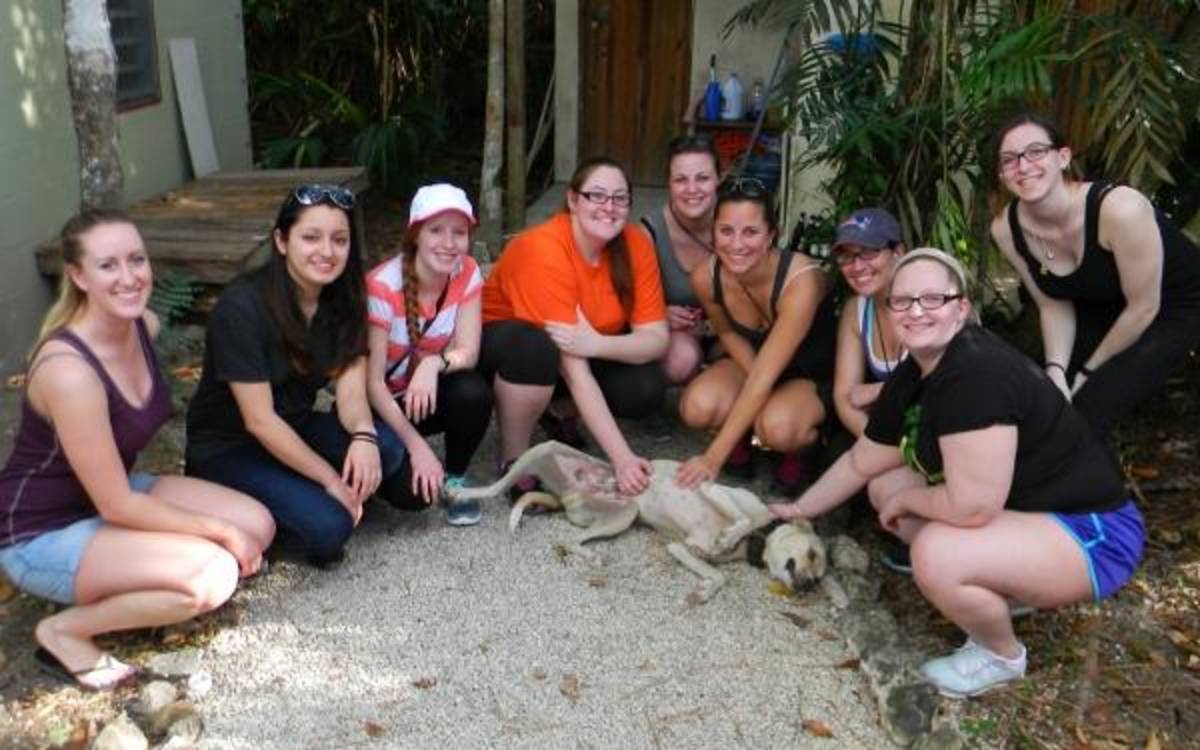 vet tech students meet their first Belizean dog 