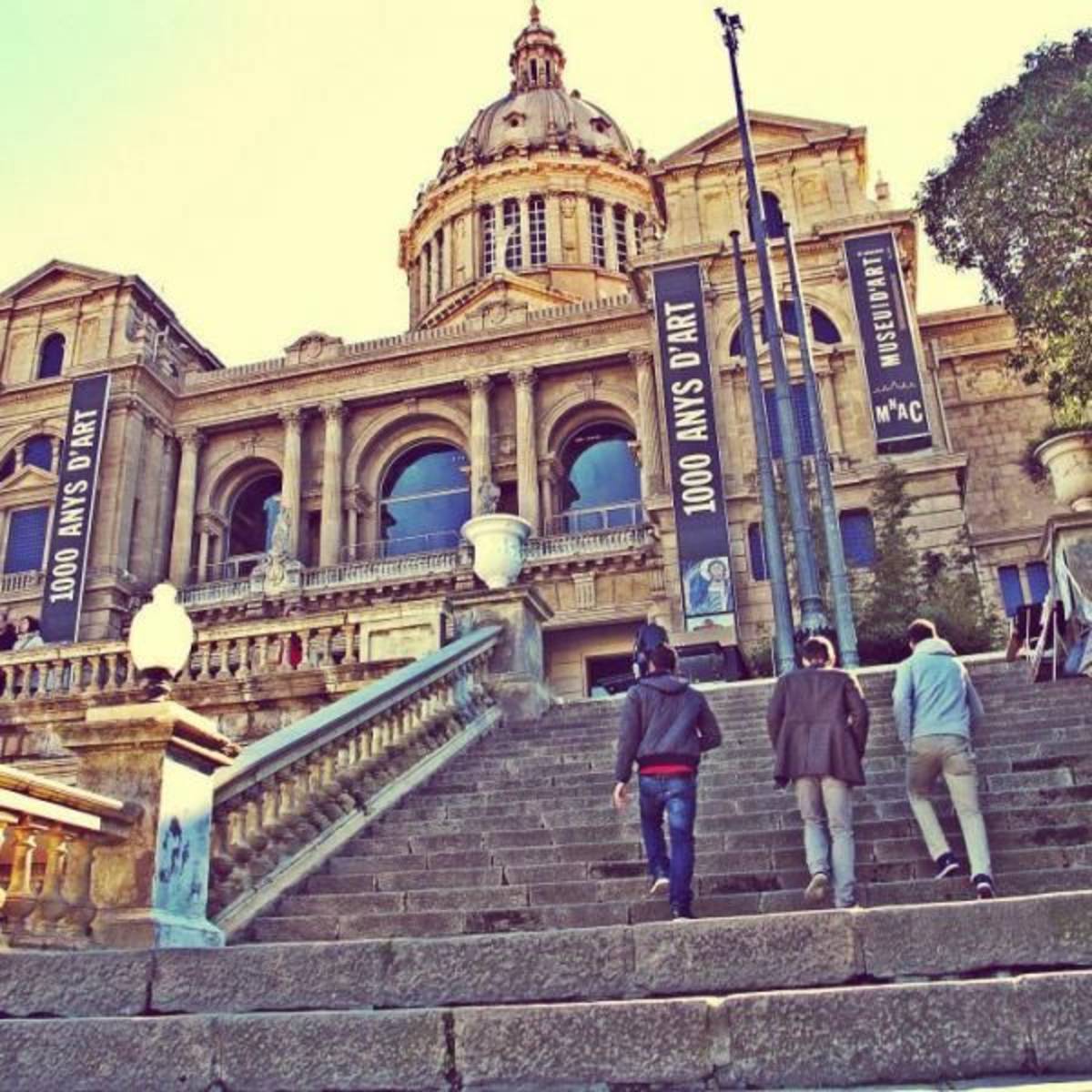 BCN Museo de Arte