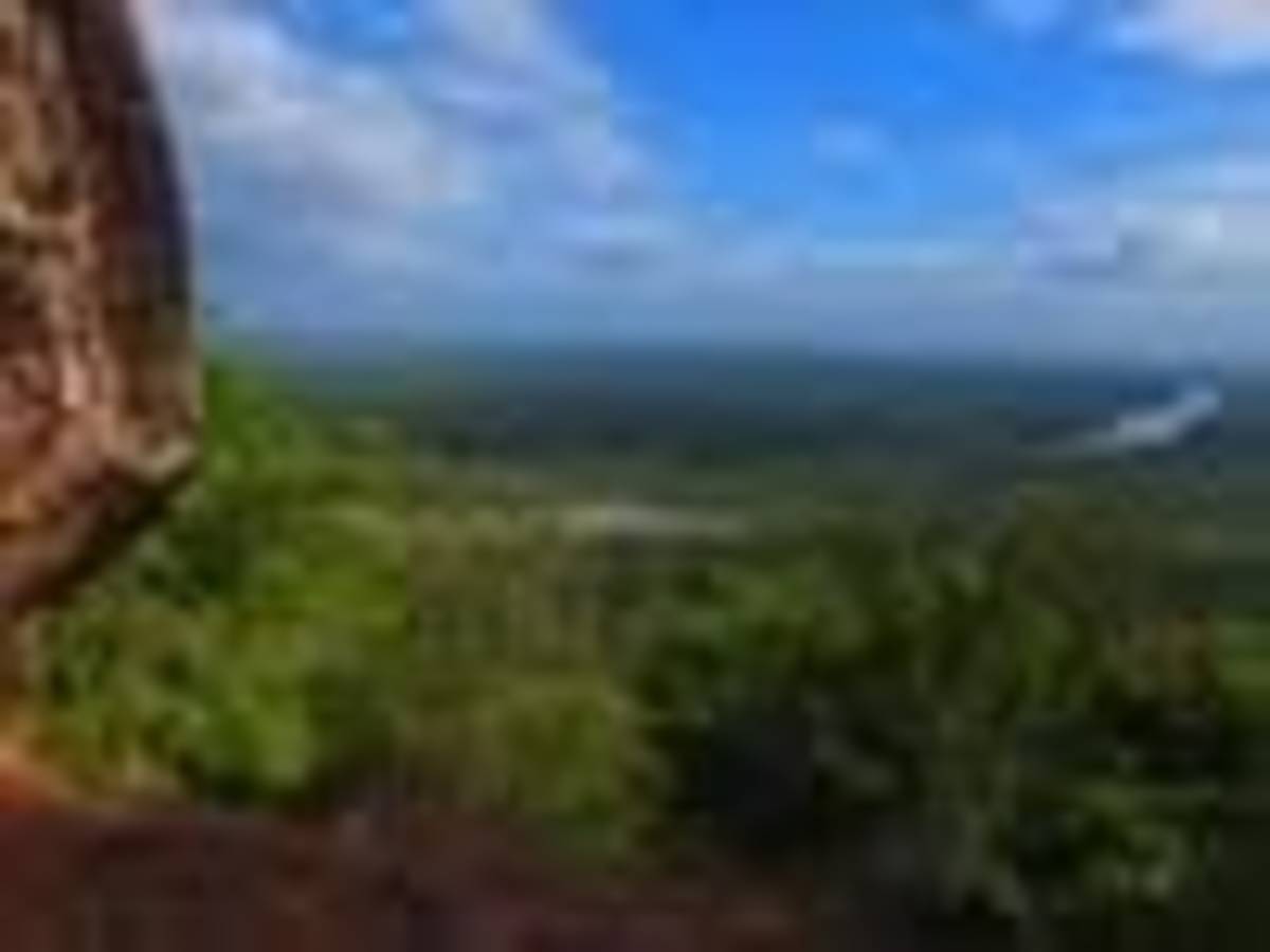 nature