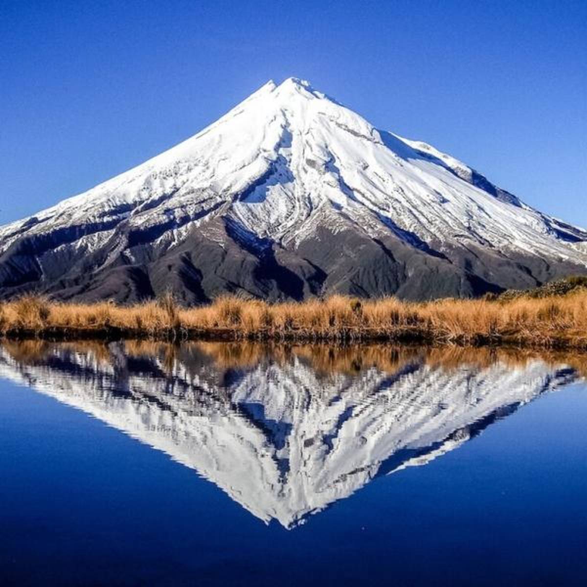 Experience New Zealand