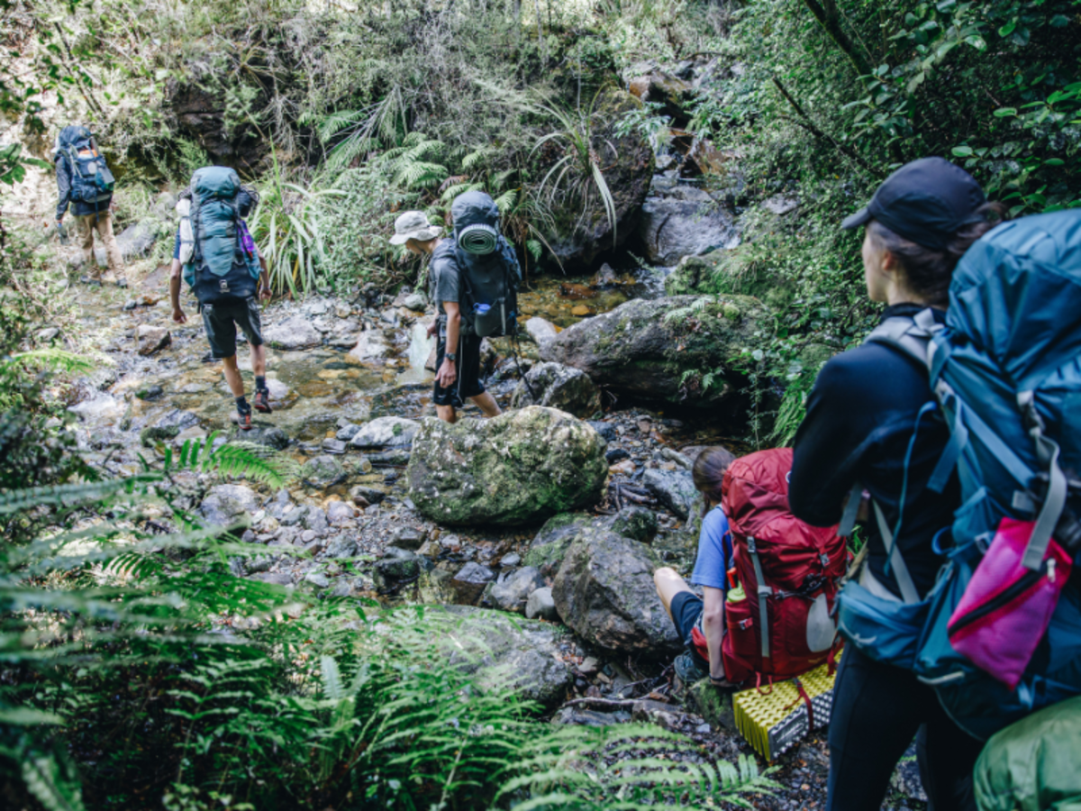 New Zealand & Australia Gap Semester | Pacific Discovery