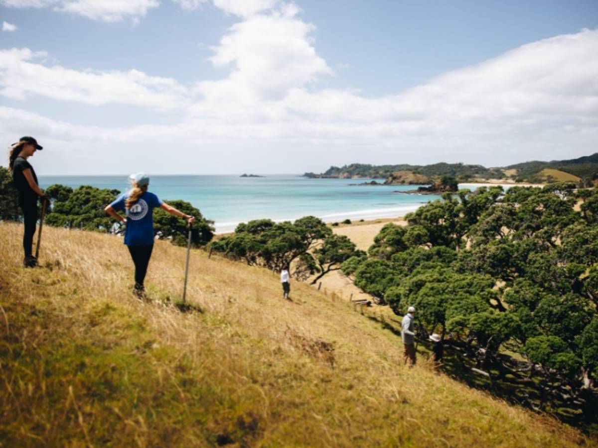 New Zealand & Fiji Summer Program | Pacific Discovery