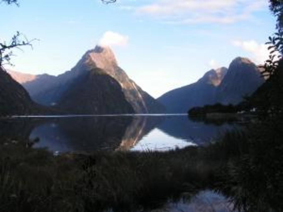 AFS Intercultural Programs Abroad in New Zealand — photo 7