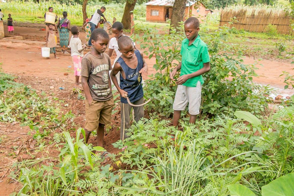 NGO Management Internship, Malawi4