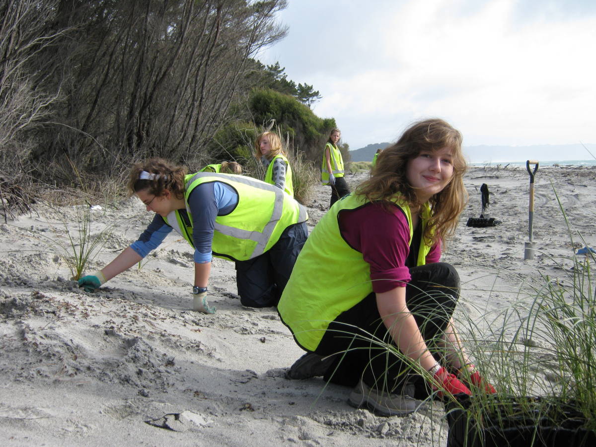 Volunteers on Matakana Island