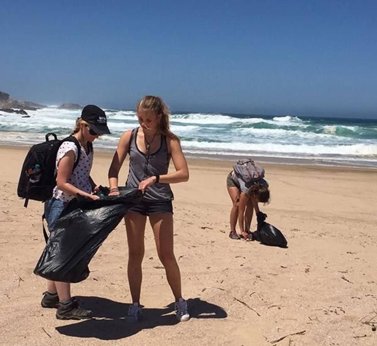 Ocean conservation volunteering