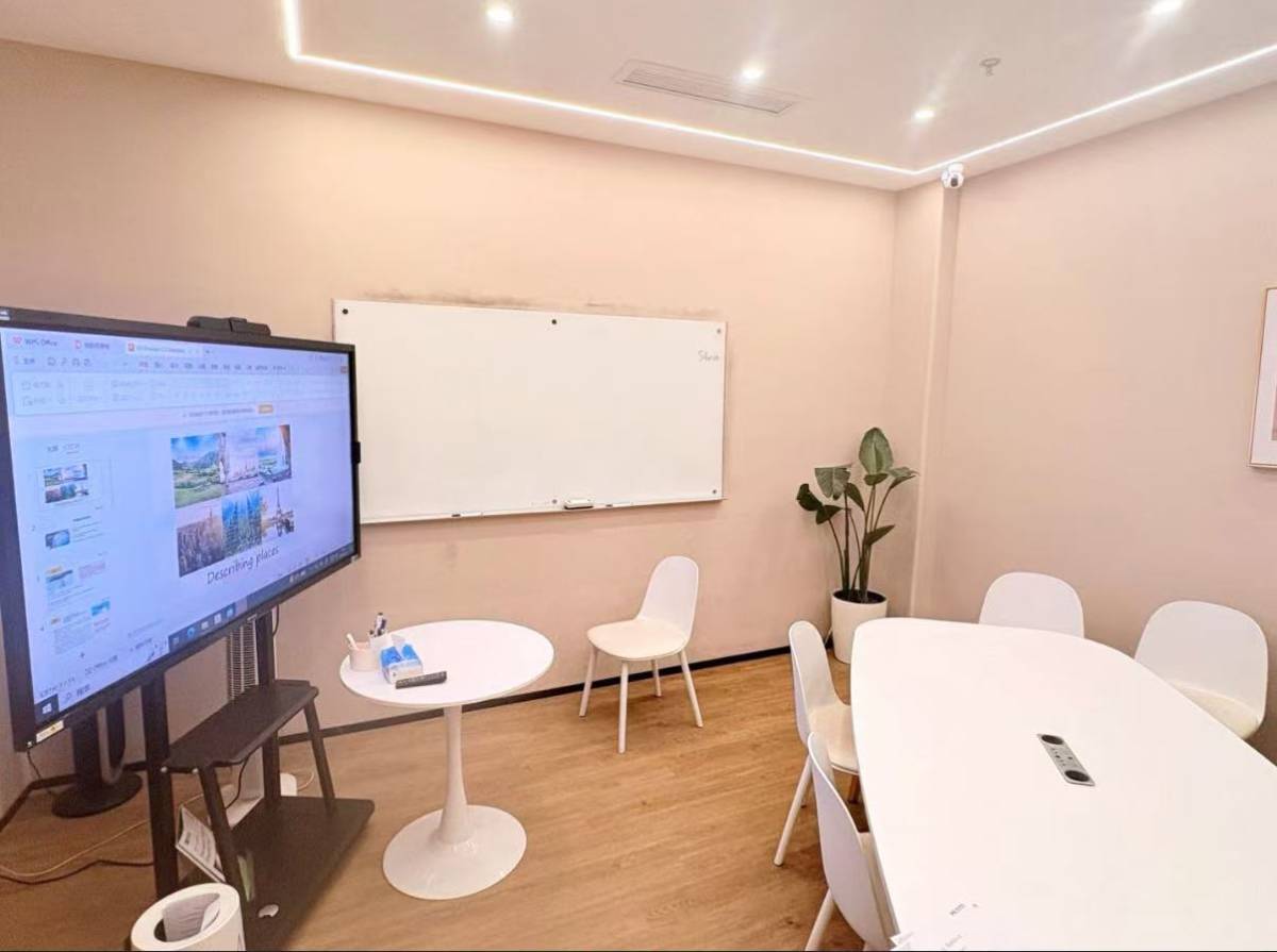 Online Chinese class with Schönberg Education 