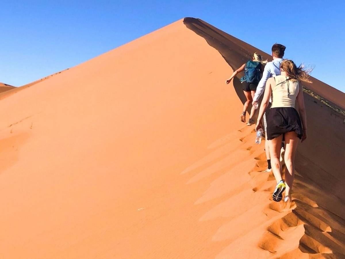Orange sand dunes of Sossusvlei, Namib Desert