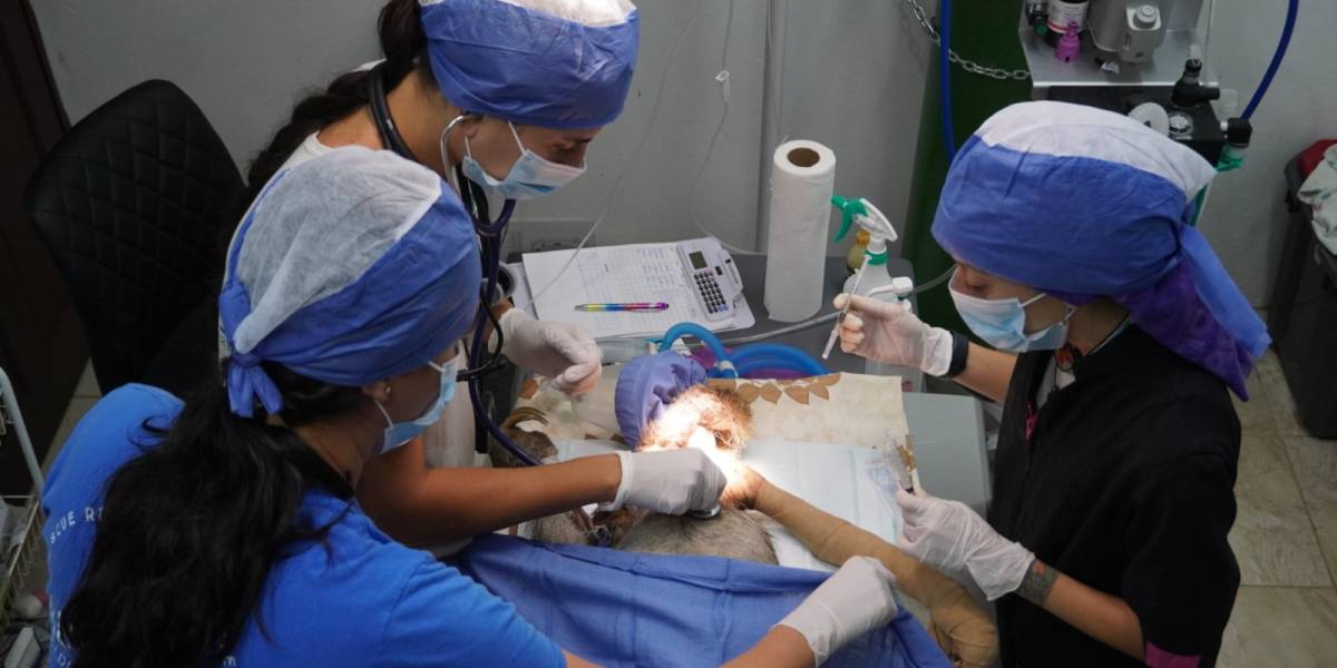 Orphan Care Internship in Costa Rica