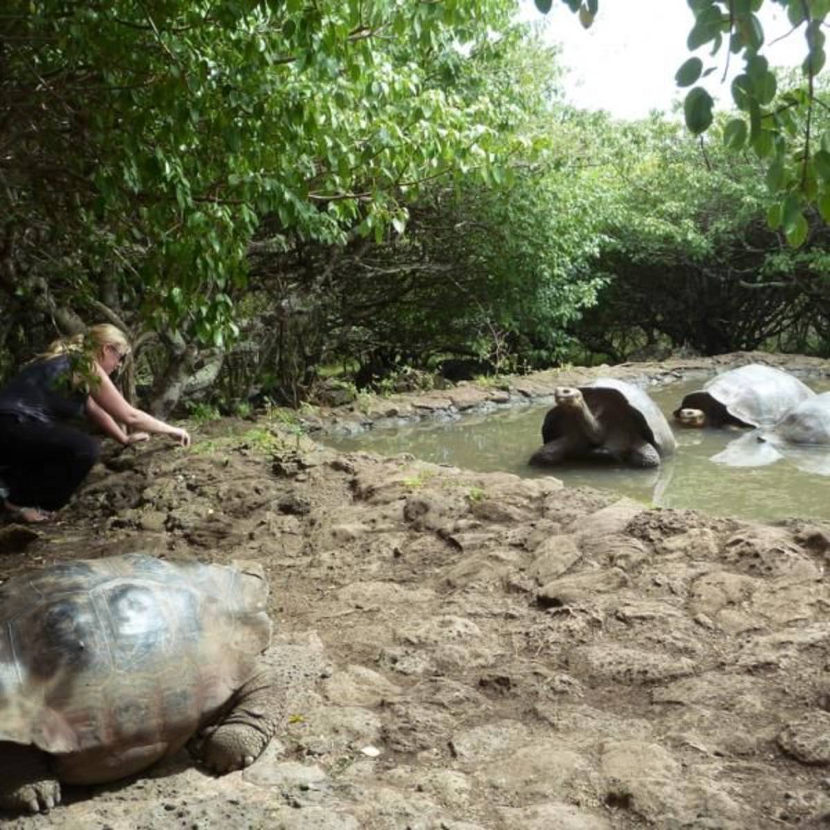 Volunteer on Galapagos Islands