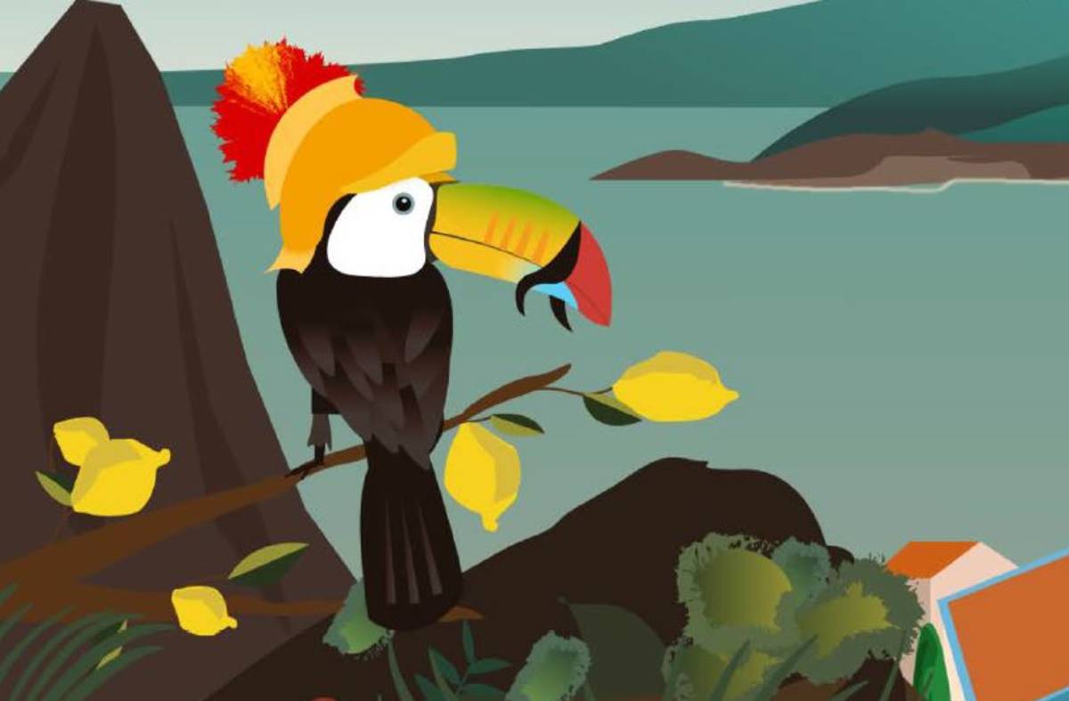 Parrota