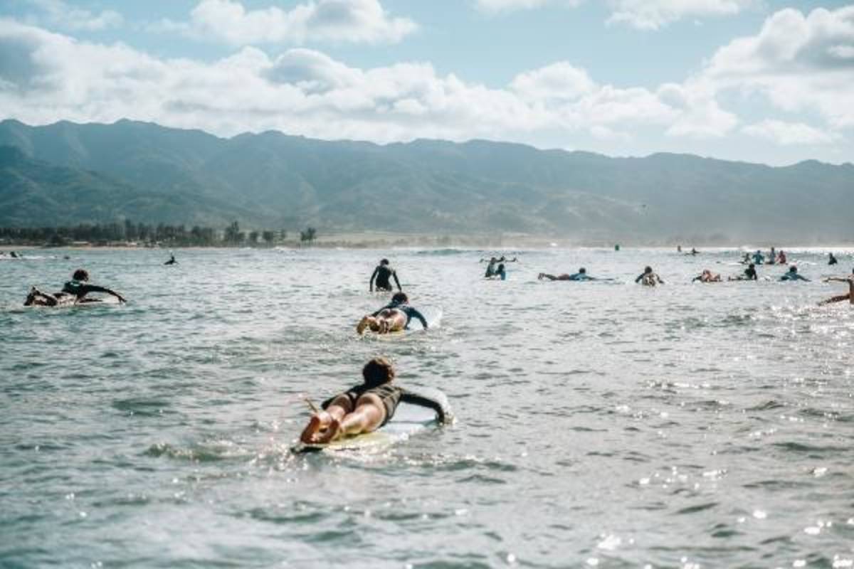 Surf in Hawaii