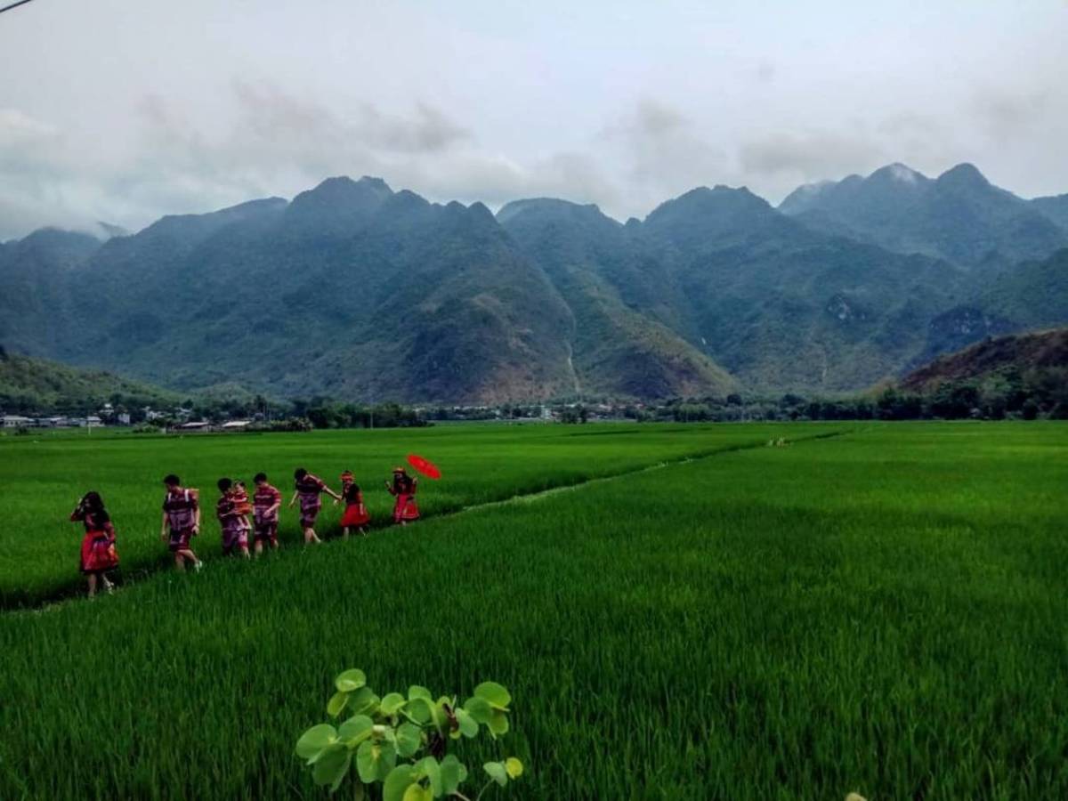 People walking through a green field