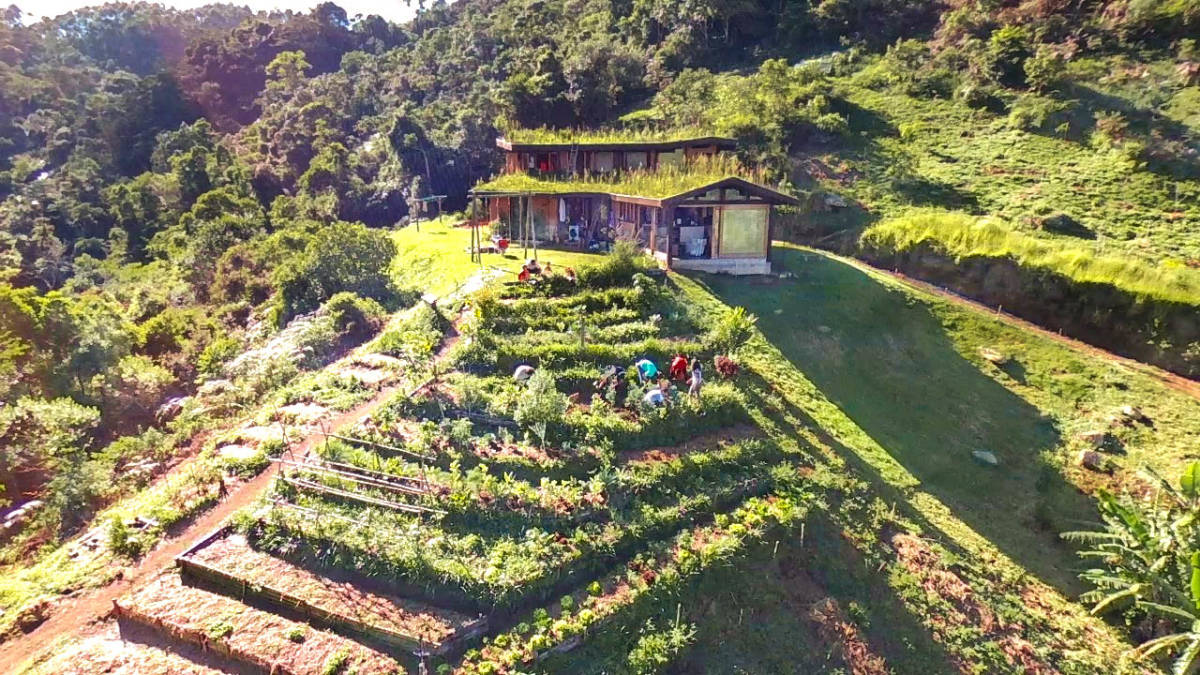 Permaculture life
