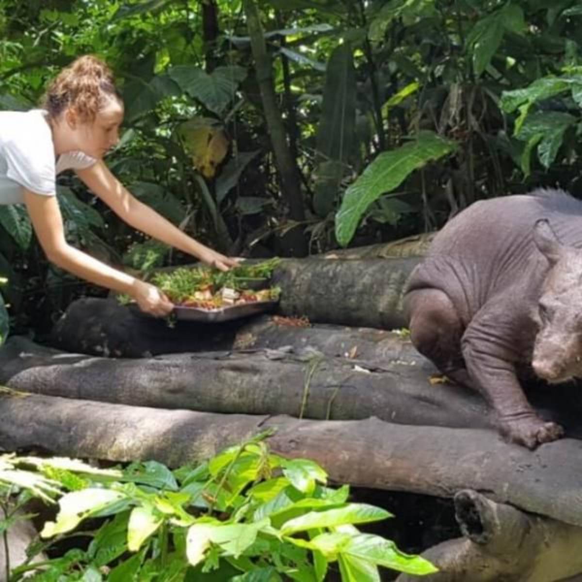 GoEco - Amazon Conservation and Machu Picchu Expedition