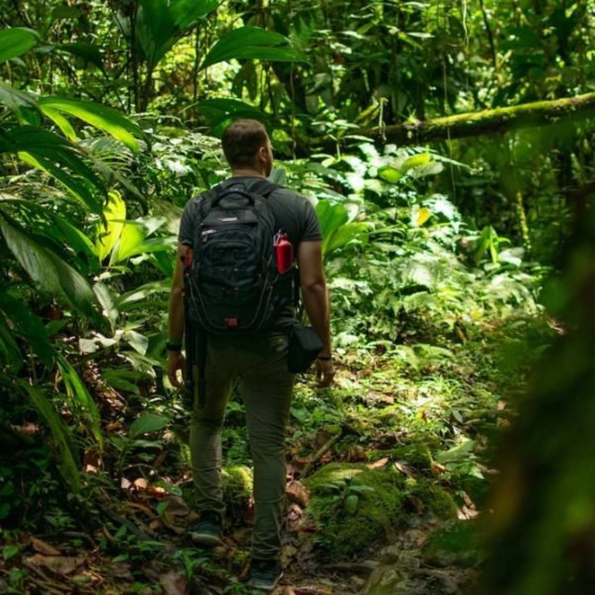Ecotourism internships