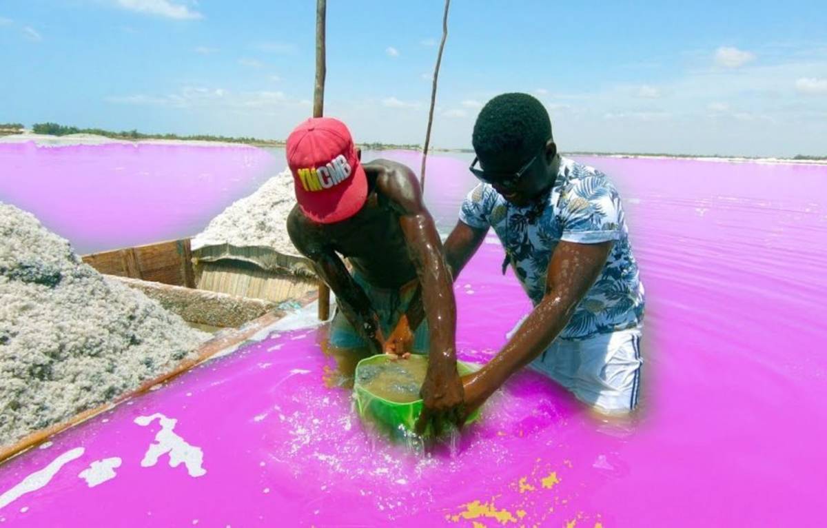 Pink Lake