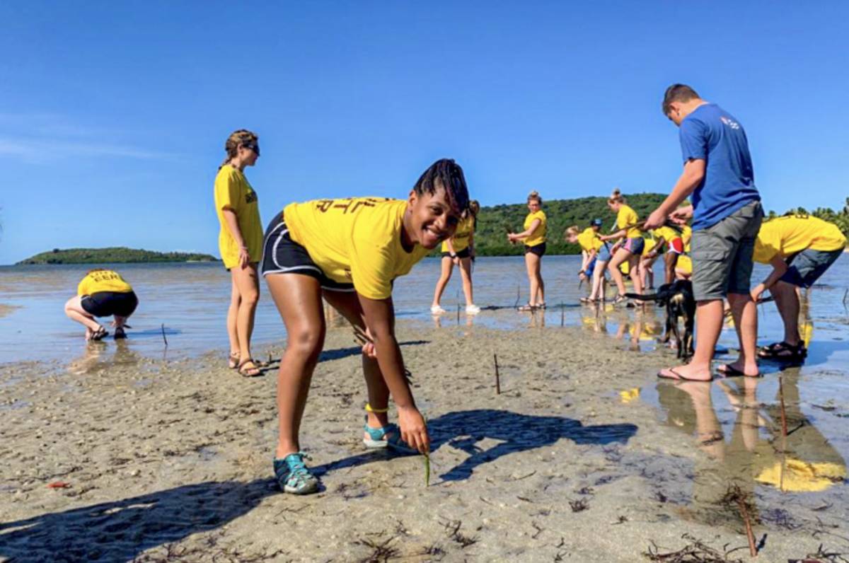 Planting mangroves
