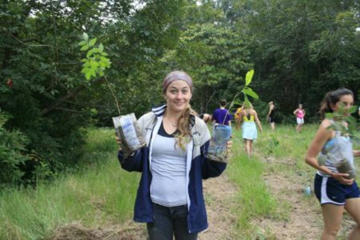 Planting trees
