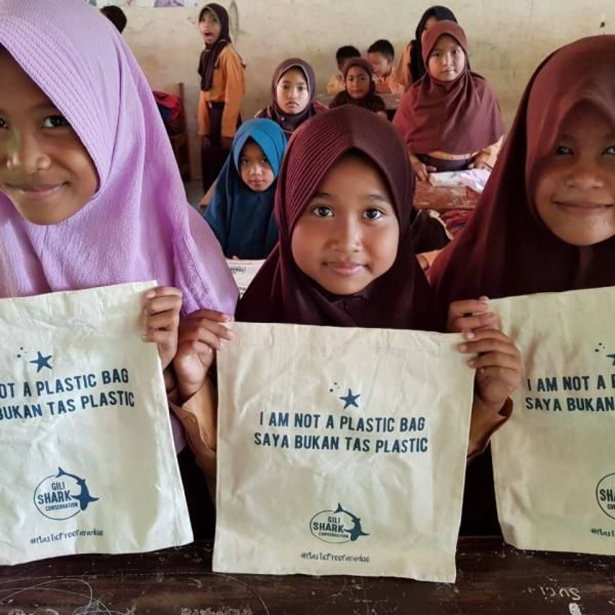 Research Team Gili Shark Conservation Project on the Gili Islands in Indonesia
